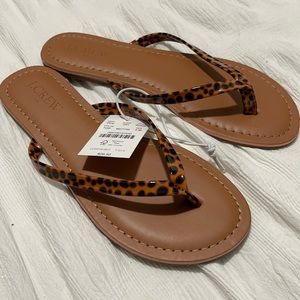 NWT- J. Crew - 5, 6 & 10